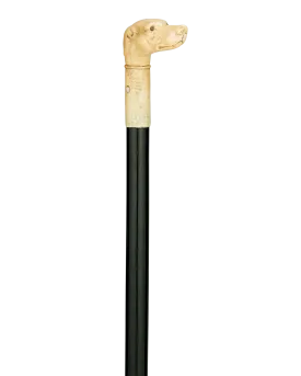 Bone Dog Cane